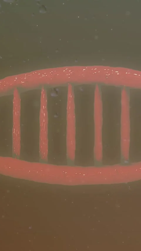 Animation of bubbles over dna strand on green background Stock Footage 343078951