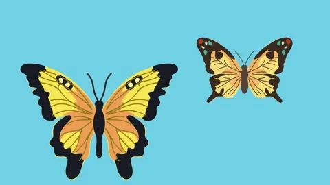 Animation of butterfly flying on clean  background Stock Footage 336651873