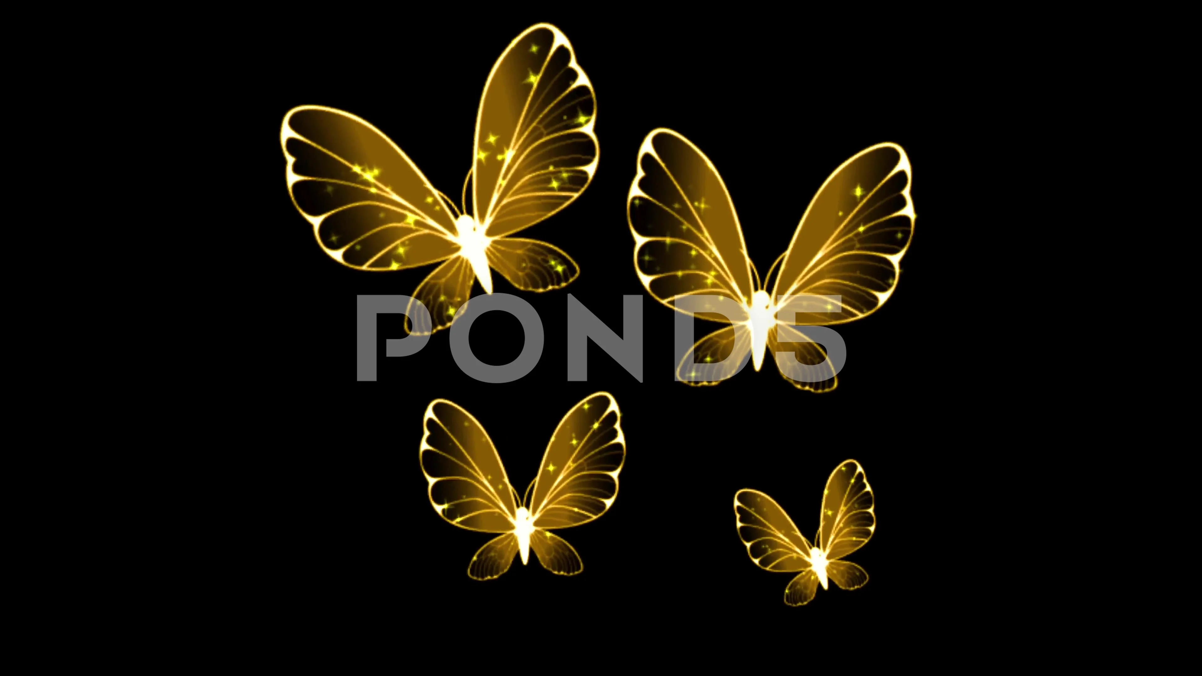 Animation butterfly wing on black backgr... | Stock Video | Pond5