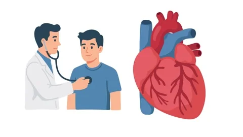 Animation cardiologist examining human heart Stock Footage 340825729