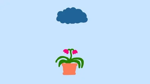 animated flowers growing time lapse