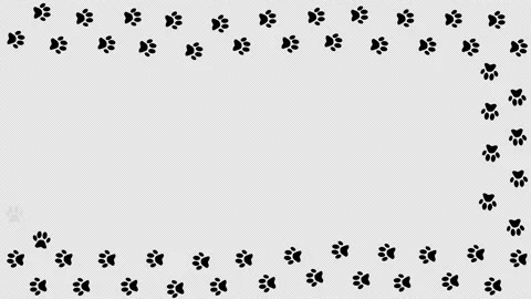 Animation of a cat's footprints. Stock Footage 171022363