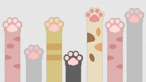 Animation of a cat's hand scratching transparent with an alpha channel Stock Footage 236530386