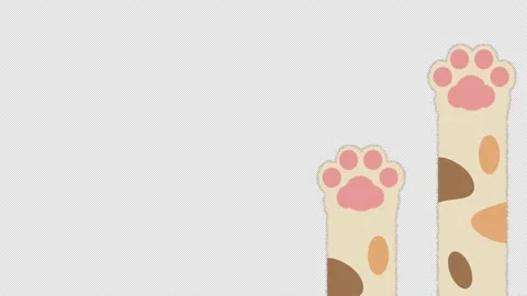 Animation of a cat's hand scratching transparent with an alpha channel Stock Footage 236530478