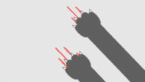 Animation of a cat's hand scratching transparent with an alpha channel Stock Footage 236530518