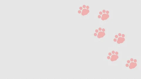 Animation of a cat's hand scratching transparent with an alpha channel Stock Footage 236530541