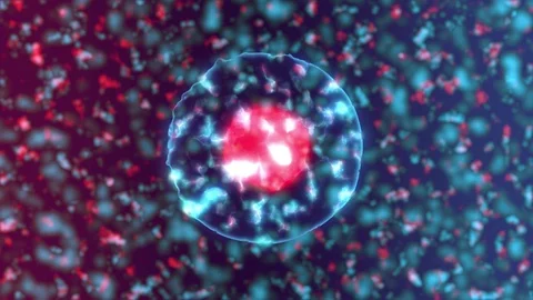Animation of cell or virus division. Stock Footage 118422502
