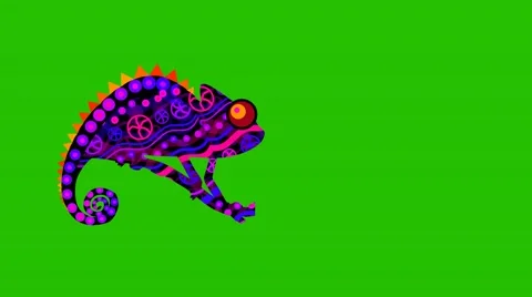 The animation chameleon changes coloron on a green background. Stock Footage 68785372