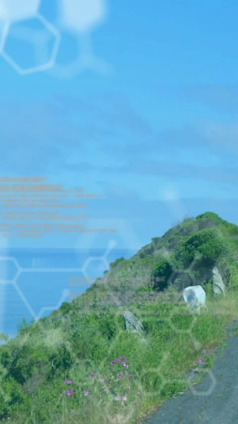Animation of chemical models and data processing over caucasian woman riding Stock Footage 323488336