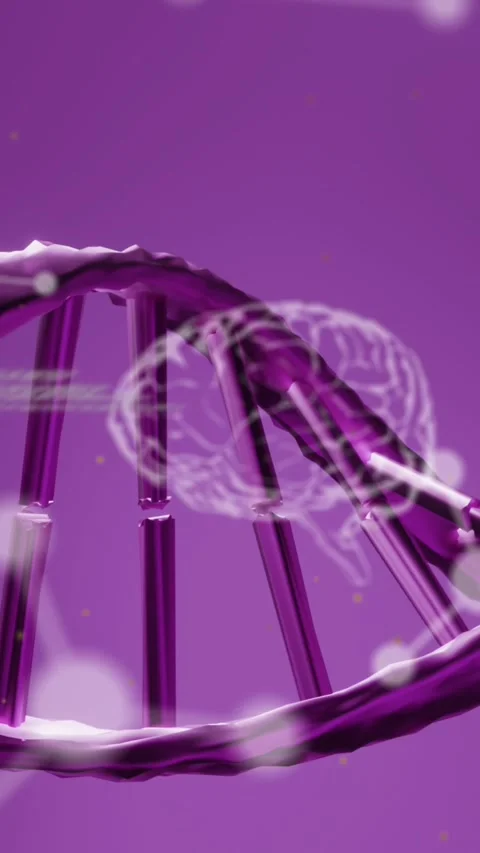 Animation of chemical structures, human brains and data processing over dna Stock Footage 342801708