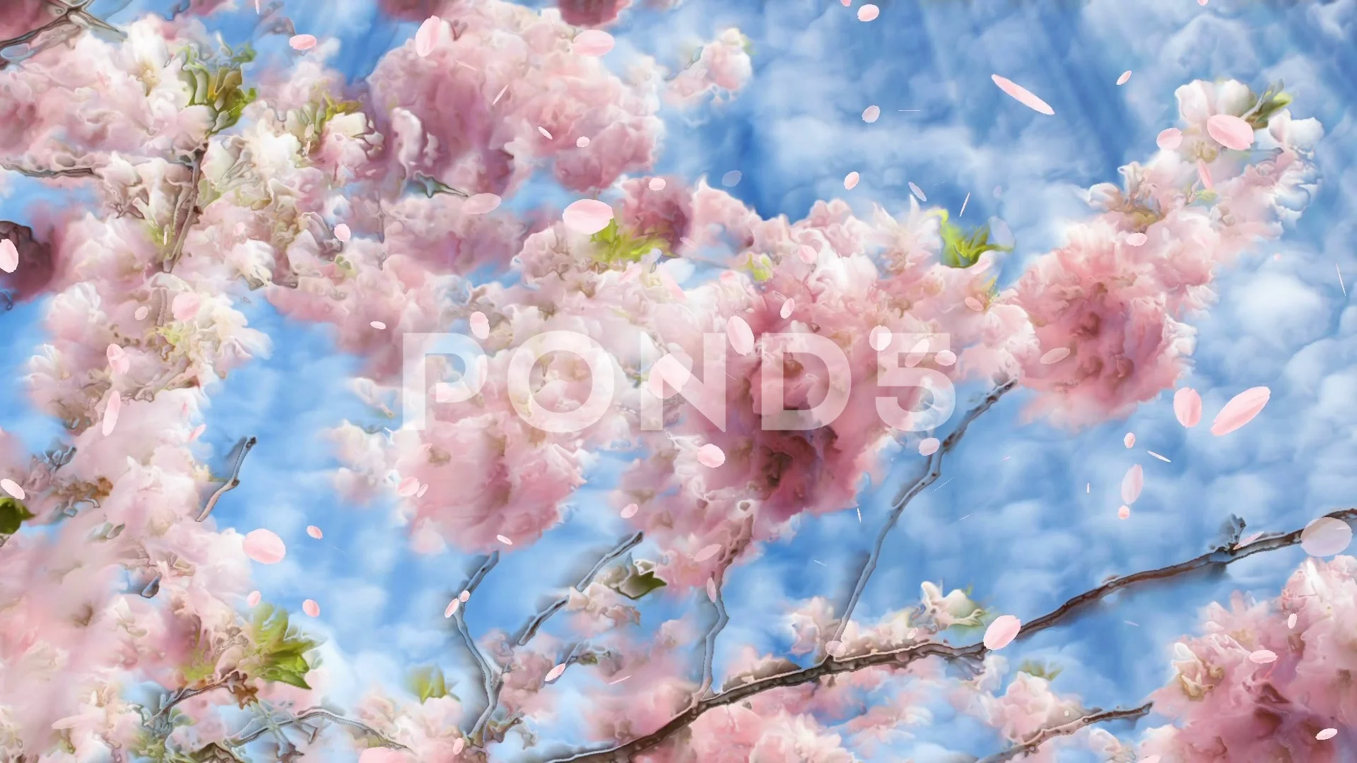 Cherry Blossom Flower and Falling Petals Animation Stock Footage ~ Royalty  Free Stock Videos | Pond5