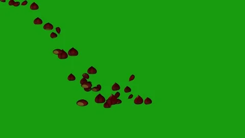 Animation of chestnuts falling on green background Stock Footage 256462081
