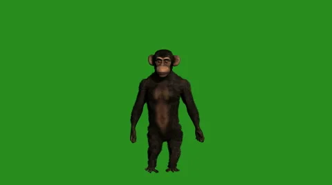 ANIMATION - chimpanzee dancing 스톡 동영상 56584401