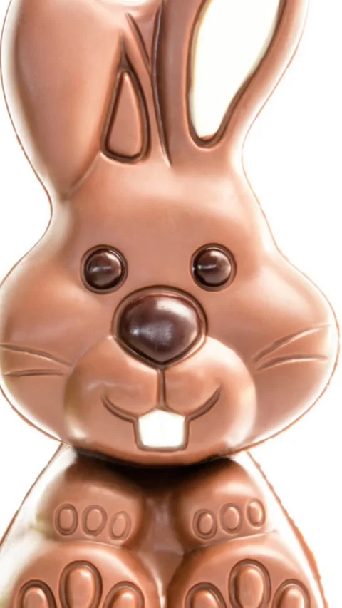 Animation of chocolate easter bunny on white background Stock Footage 319975348