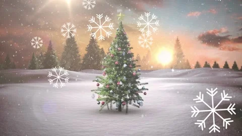 Animation of christmas tree over winter scenery Stock-Footage 159683702