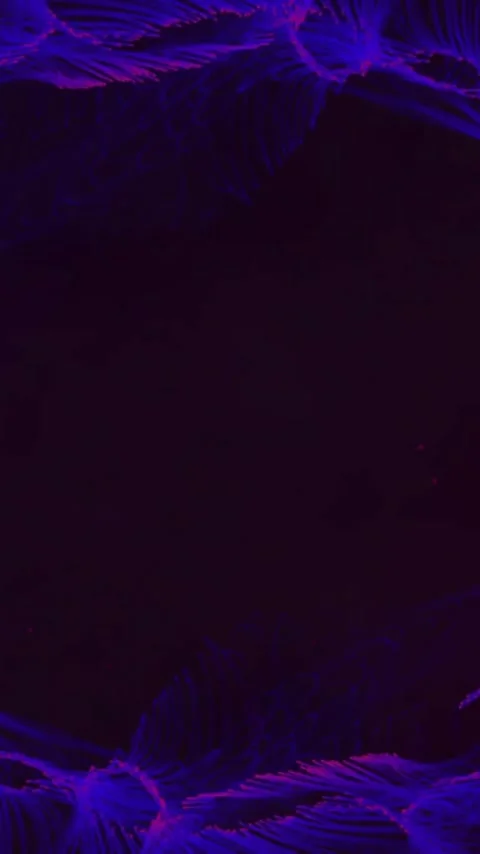 Animation of circle glowing light trails moving on seamless loop on dark Stock Footage 342707820