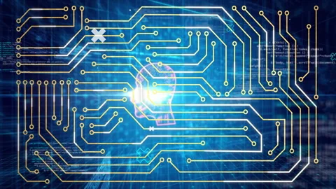 Animation of circuit board pattern glowing over human head silhouette on digital Stock Footage 305010141