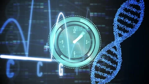 Animation of clock moving fast, dna strand and data processing Stock Footage 329696340