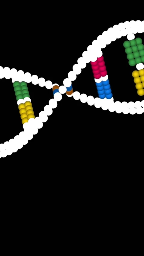 Animation of clock moving over dna strand on black background Stock Footage 342704631