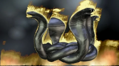 Animation of a cobra circle Stock Footage 41471666