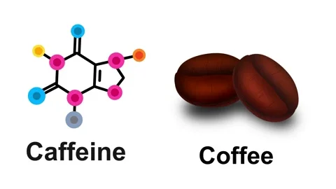 Animation of coffee, caffeine chemical structure alongside coffee beans Stock Footage 290287503