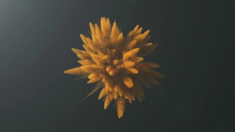 Animation of a colored explosion of a powder. Stock Footage 89967499