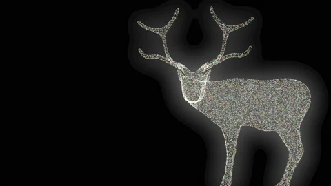 Animation of colourful particles forming a Deer on black background. Stock Footage 203294837