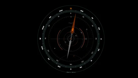 Animation of compass pointing to solution 動画素材 323173345