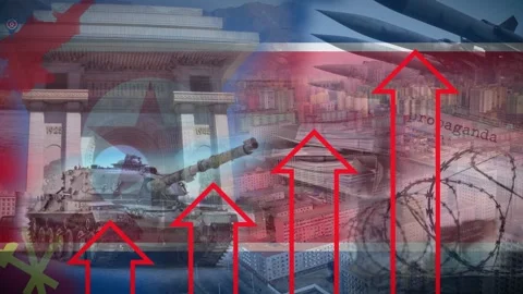 Animation Concept Showing a Generic Growth of North Korea Stock Footage 308648185