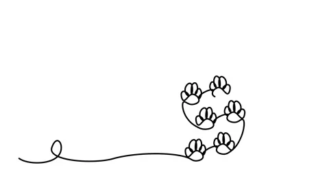 Animation of a continuous drawing of animal tracks with one line. Stock Footage 292534360