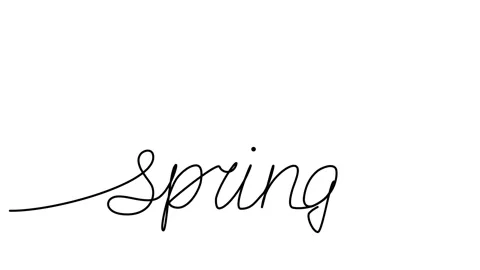 Animation continuous drawing of the phrase spring in one line. linear video Stock Footage 294502551