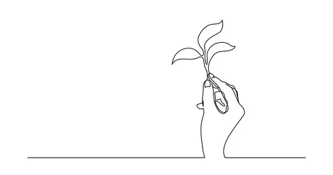 growing plant drawing