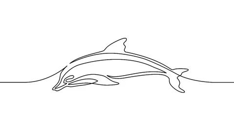 Animation Continuous one drawn line from the dolphin Stock Footage 99683438