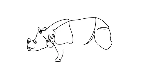 Animation of continuous one line drawing of isolated object rhinoceros Video stock 128422795