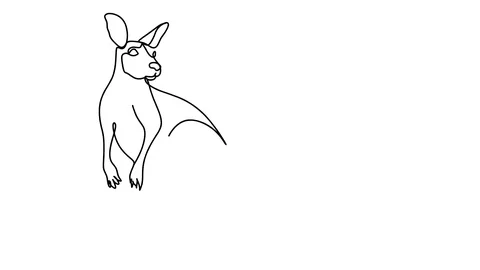 Animation of continuous one line drawing of isolated object kangaroo Video stock 128422853