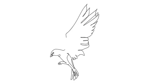 Animation of continuous one single line drawing of isolated vector object Stock Footage 128424551