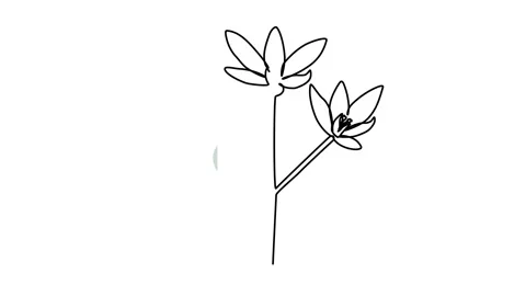 Animation of a continuous pattern of flowers with one line. linear video Stock Footage 292533217