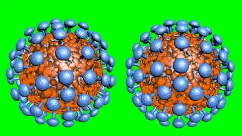 ANIMATION OF THE CORONAVIRUS IN GREEN SCREEN Stock Footage 126076235