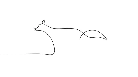 Animation of cute fox corporate logo identity. Mammals zoo animal icon concept Stock Footage 227459535