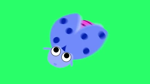 Animation cute insect on green background. 스톡 동영상 250626482