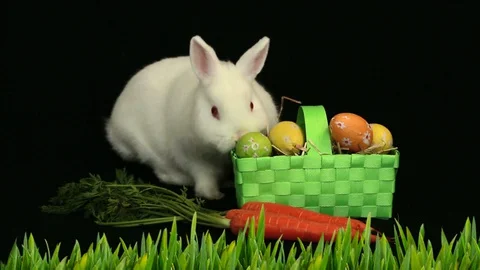 Animation of cute white Easter bunny with green basket with patterned Easter Stock Footage 128306839