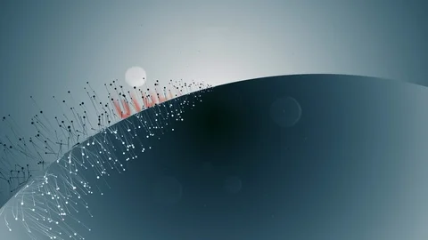 Animation With Cyber Monday Text Video stock 116760361