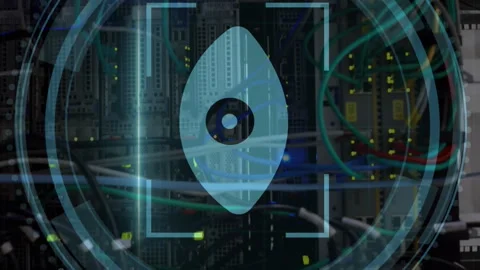 Animation of cyber security and eye scanning in circle over servers Stock Footage 312470337