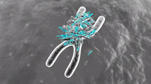 Animation of a damaged Chromosome Video stock 76940810