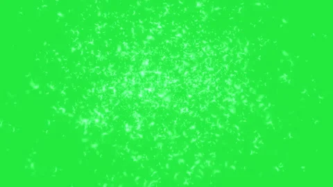 Animation - dandelion seed fly in space on green screen Stock Footage 132199791