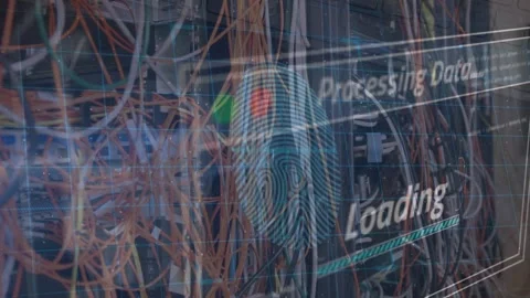 Animation of data processing and biometric fingerprint over computer servers Stock Footage 329157607