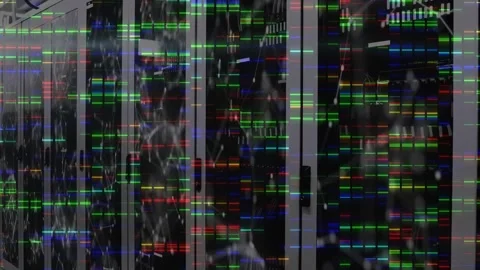 Animation of data processing and connections over servers Stock Footage 328235270