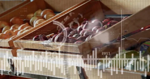 Animation of data processing and diagrams over fresh vegetables in shop Stock Footage 265567622