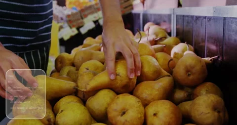 Animation of data processing and diagrams over caucasian man picking fruit in Stock Footage 265567631