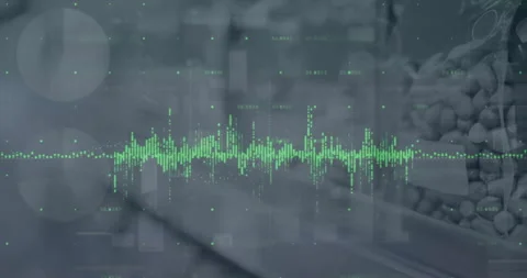 Animation of data processing and diagrams over stones 스톡 동영상 266177996